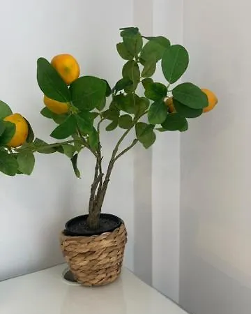 Apartment Citrus By Alhaurin Loft Center *