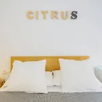 Lejlighed Citrus By Alhaurin Loft Center