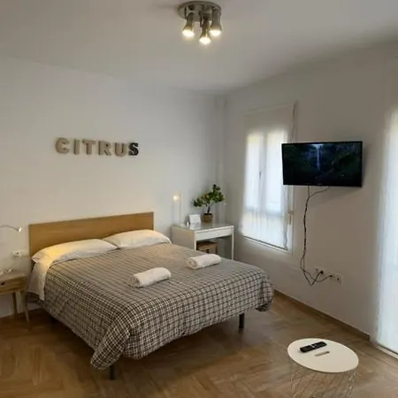 Citrus By Alhaurin Loft Center Apartmán