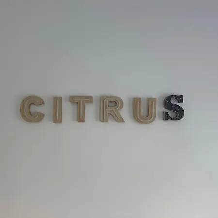 Citrus By Alhaurin Loft Center Apartmán Alhaurín de la Torre